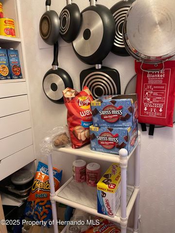 14456 Brookridge Boulevard, Spring Hill, FL 34613