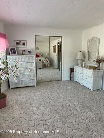 14456 Brookridge Boulevard, Spring Hill, FL 34613