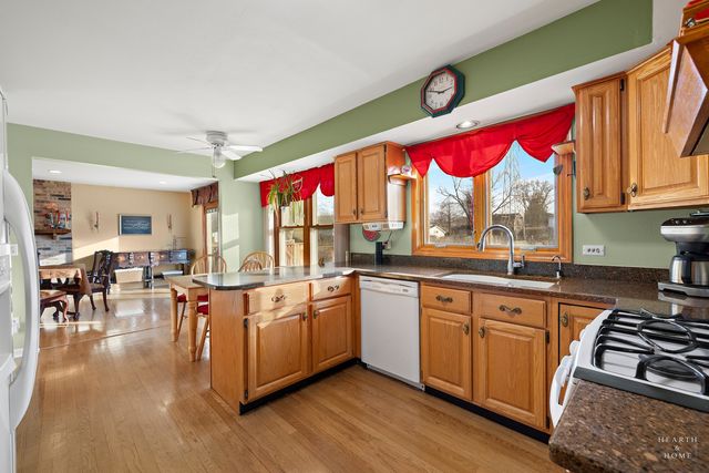 669 E Carpenter Drive, Palatine, IL 60074