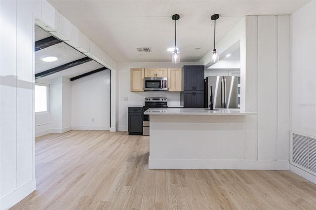 8807 OVERLOOK DRIVE, Wesley Chapel, FL 33545