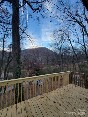 138 Buddy Lane, Chimney Rock, NC 28720