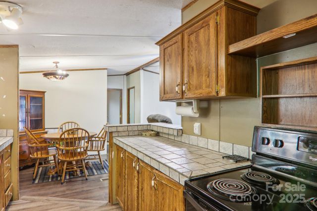 138 Buddy Lane, Chimney Rock, NC 28720