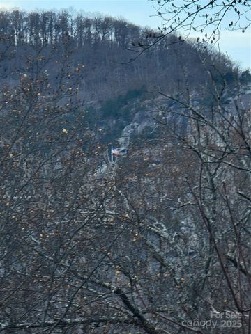 138 Buddy Lane, Chimney Rock, NC 28720