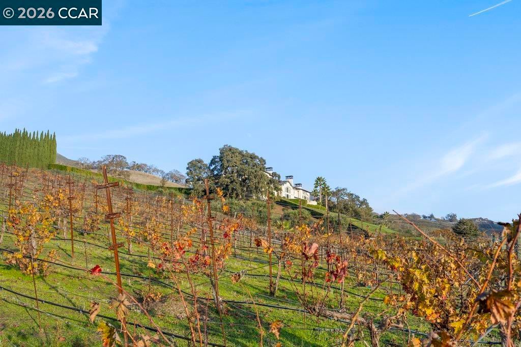 Image 48 of property listing at 10 10 Serenity Ln, Alamo, CA 94507