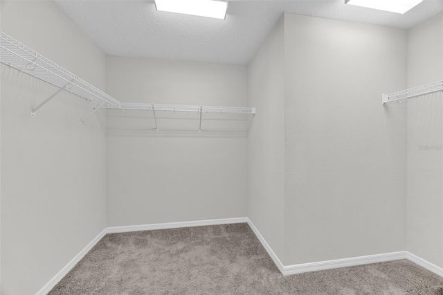 6321 TILLANDSIA PLACE, Tampa, FL 33610
