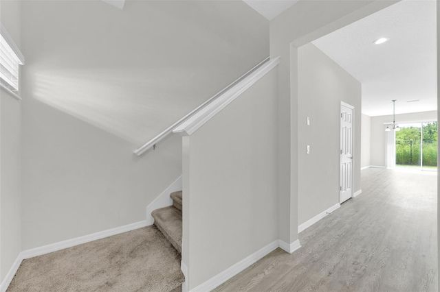 6321 TILLANDSIA PLACE, Tampa, FL 33610
