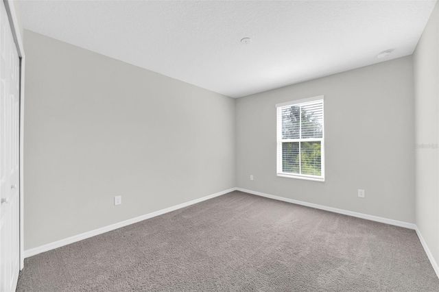 6321 TILLANDSIA PLACE, Tampa, FL 33610