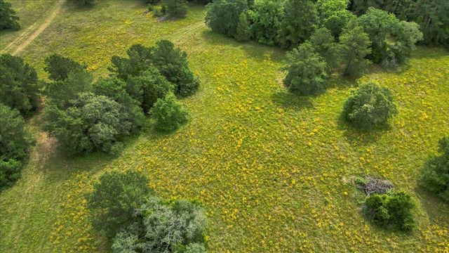 6299 US HWY 271, Gilmer, TX 75644