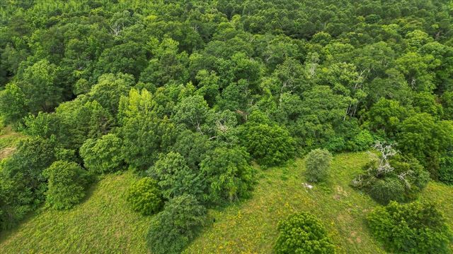 6299 US HWY 271, Gilmer, TX 75644