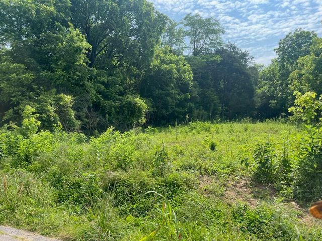 420 Blacks Ferry Road, Burkesville, KY 42717