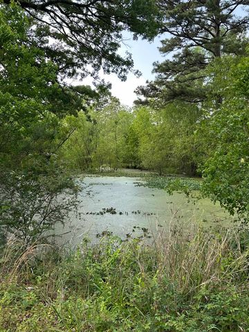 213 COUNTY ROAD 3131, De Berry, TX 75639