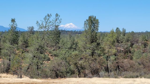 Lot 30 Lack Creek Drive, Shingletown, CA 96088