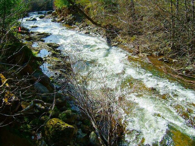 Lot 30 Lack Creek Drive, Shingletown, CA 96088