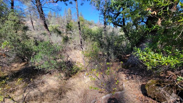Lot 30 Lack Creek Drive, Shingletown, CA 96088