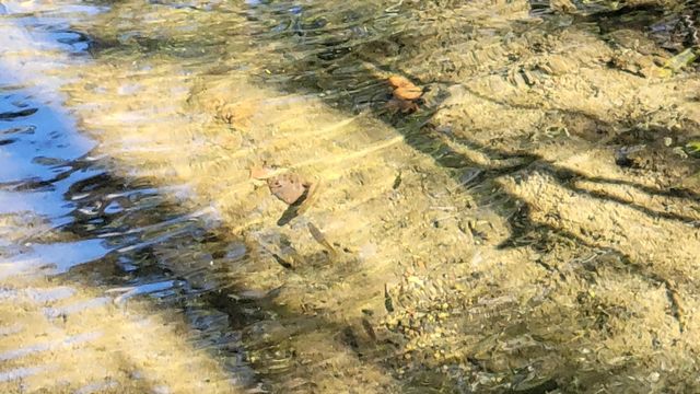 Lot 30 Lack Creek Drive, Shingletown, CA 96088