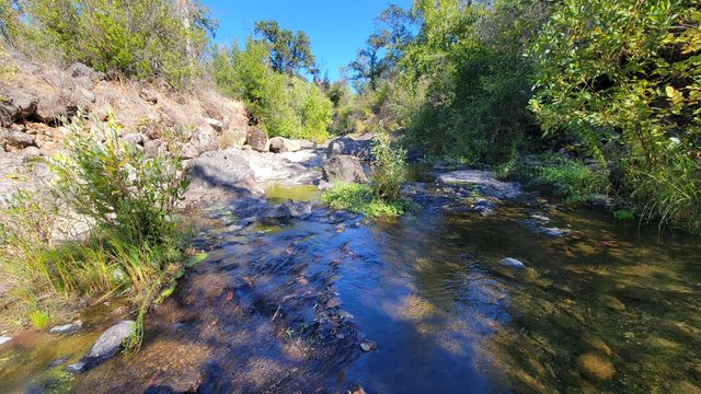 Lot 30 Lack Creek Drive, Shingletown, CA 96088