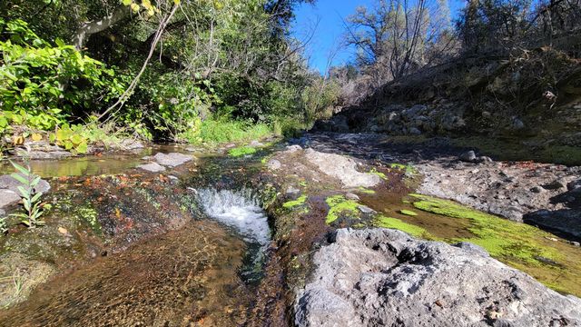 Lot 30 Lack Creek Drive, Shingletown, CA 96088