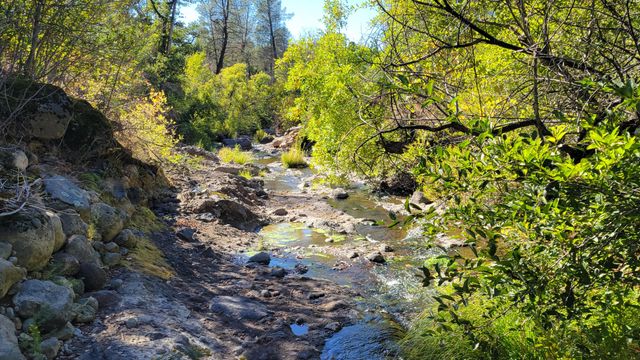 Lot 30 Lack Creek Drive, Shingletown, CA 96088