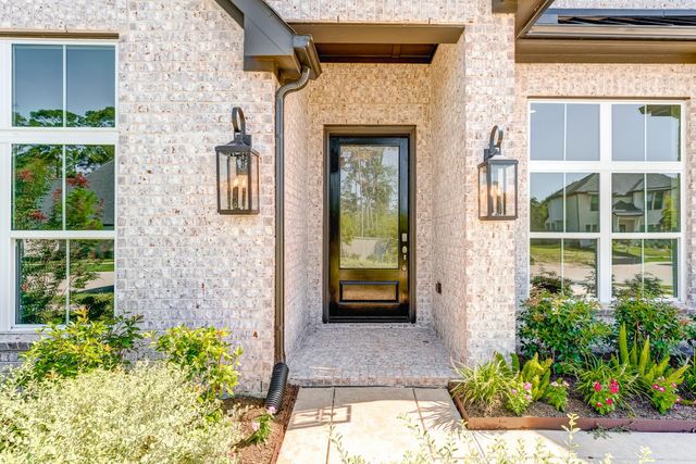 15129 Wedge Tail Way, Magnolia, TX 77354