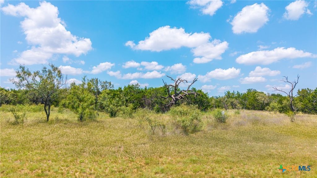 LOT 13 PR 42111, Evant, TX 76525