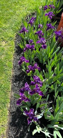 13 Corey Drive, Peabody, MA 01960