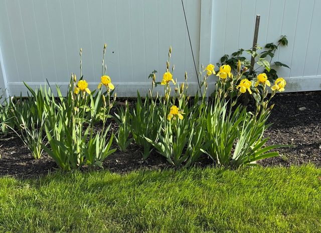 13 Corey Drive, Peabody, MA 01960