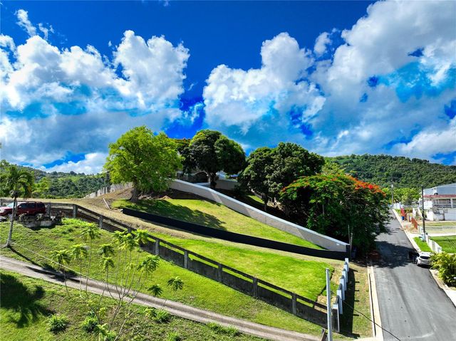 MAMEY 189 40, Gurabo, PR 00778