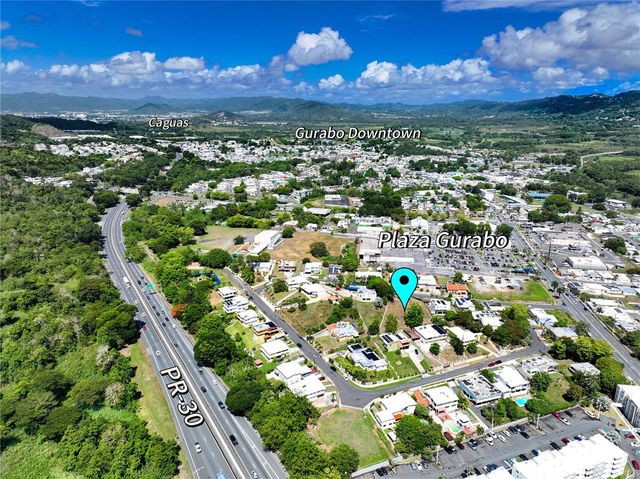 MAMEY 189 40, Gurabo, PR 00778