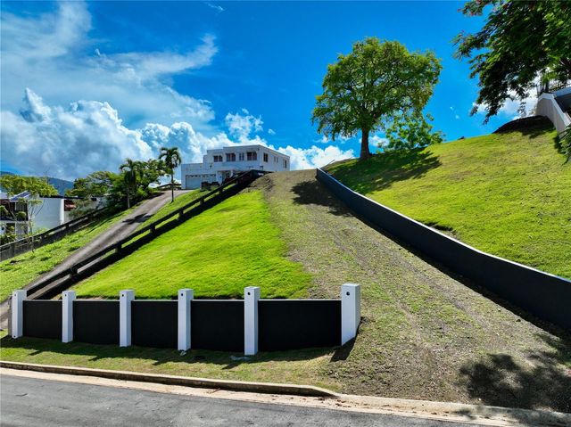 MAMEY 189 40, Gurabo, PR 00778