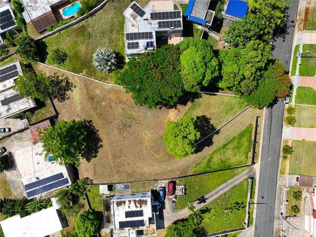 MAMEY 189 40, Gurabo, PR 00778