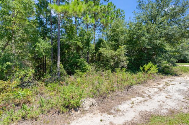 Lot 4 & Lot 7 Bear Creek Cottages, Freeport, FL 32439