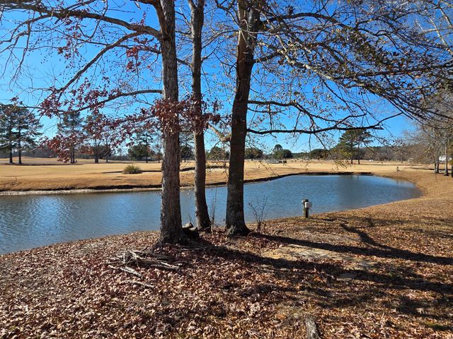 1151 Blue Heron Point, Manning, SC 29102