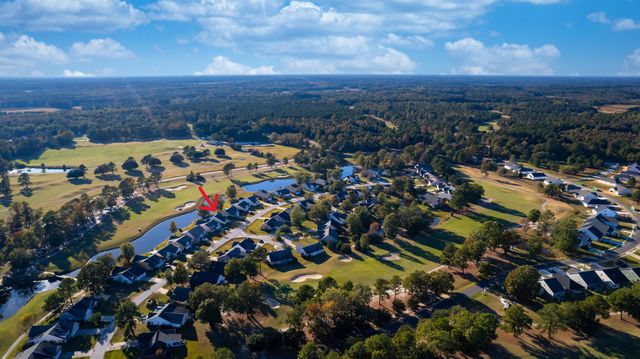 1151 Blue Heron Point, Manning, SC 29102