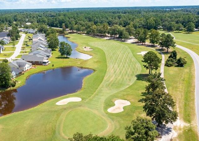 1151 Blue Heron Point, Manning, SC 29102