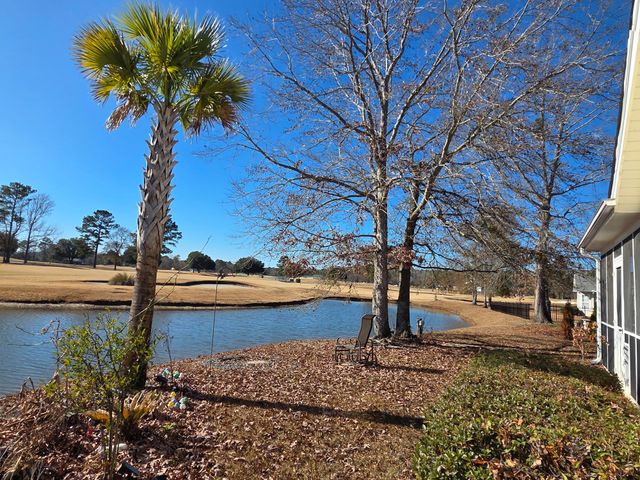 1151 Blue Heron Point, Manning, SC 29102
