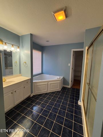 605 Horseshoe Lane, Seymour, TN 37865