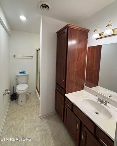 605 Horseshoe Lane, Seymour, TN 37865