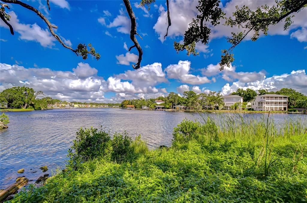 Image 3 of property listing at 3230 N ROME AVENUE, Tampa, FL 33607