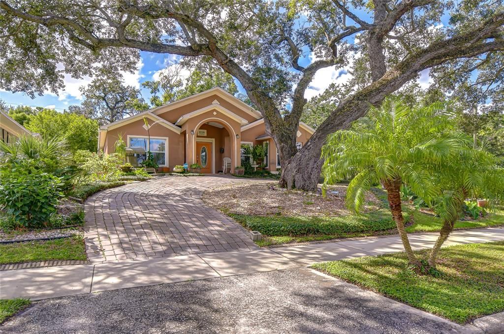 Image 5 of property listing at 3230 N ROME AVENUE, Tampa, FL 33607