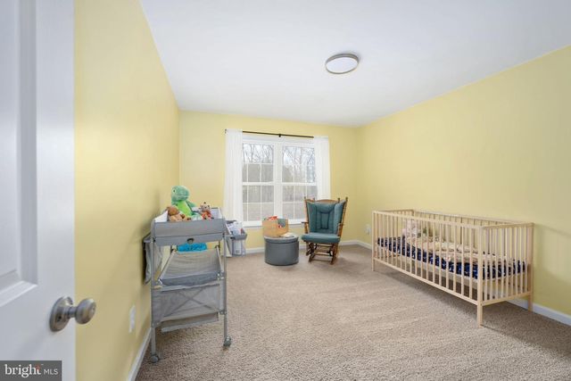 28270 TATUM RD, Unionville, VA 22567