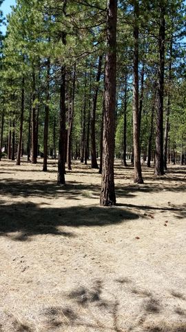 52170 Ponderosa Way, La Pine, OR 97739