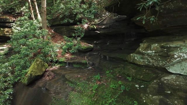 574 Powers Road, Frenchburg, KY 40322