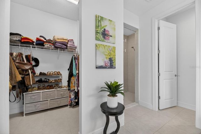 6081 HIDDEN BRANCH DRIVE, Apollo Beach, FL 33572