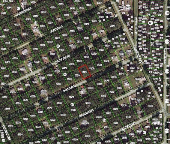 3669 E BAXLEY PLACE, Inverness, FL 34453