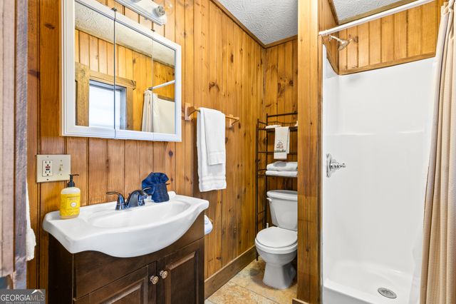 97 Cowboy Way, Mineral Bluff, GA 30559