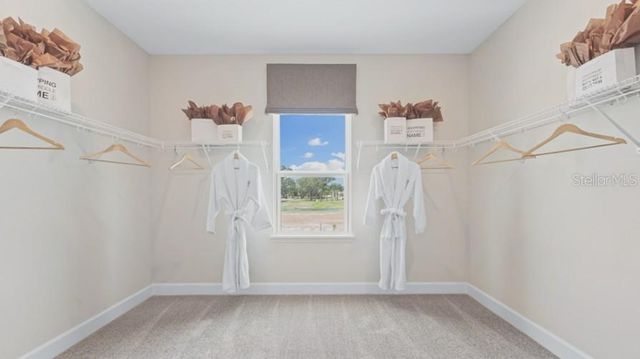 3116 LUMBER FALLS DRIVE, Plant City, FL 33565