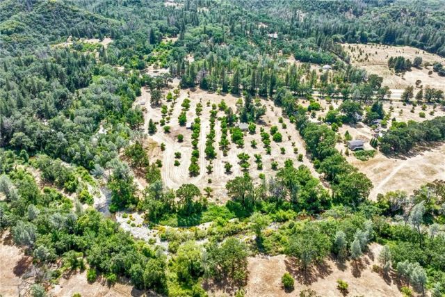 22550 Shady Grove Road, Middletown, CA 95461