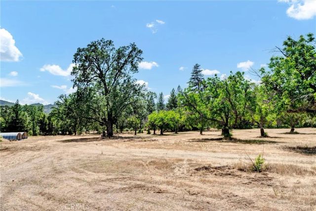 22550 Shady Grove Road, Middletown, CA 95461