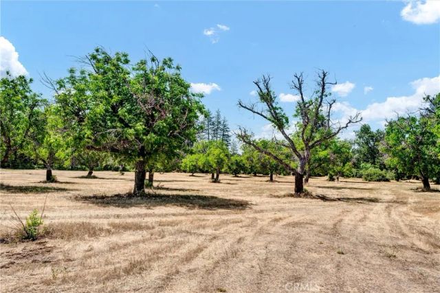 22550 Shady Grove Road, Middletown, CA 95461