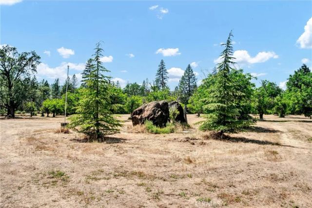 22550 Shady Grove Road, Middletown, CA 95461